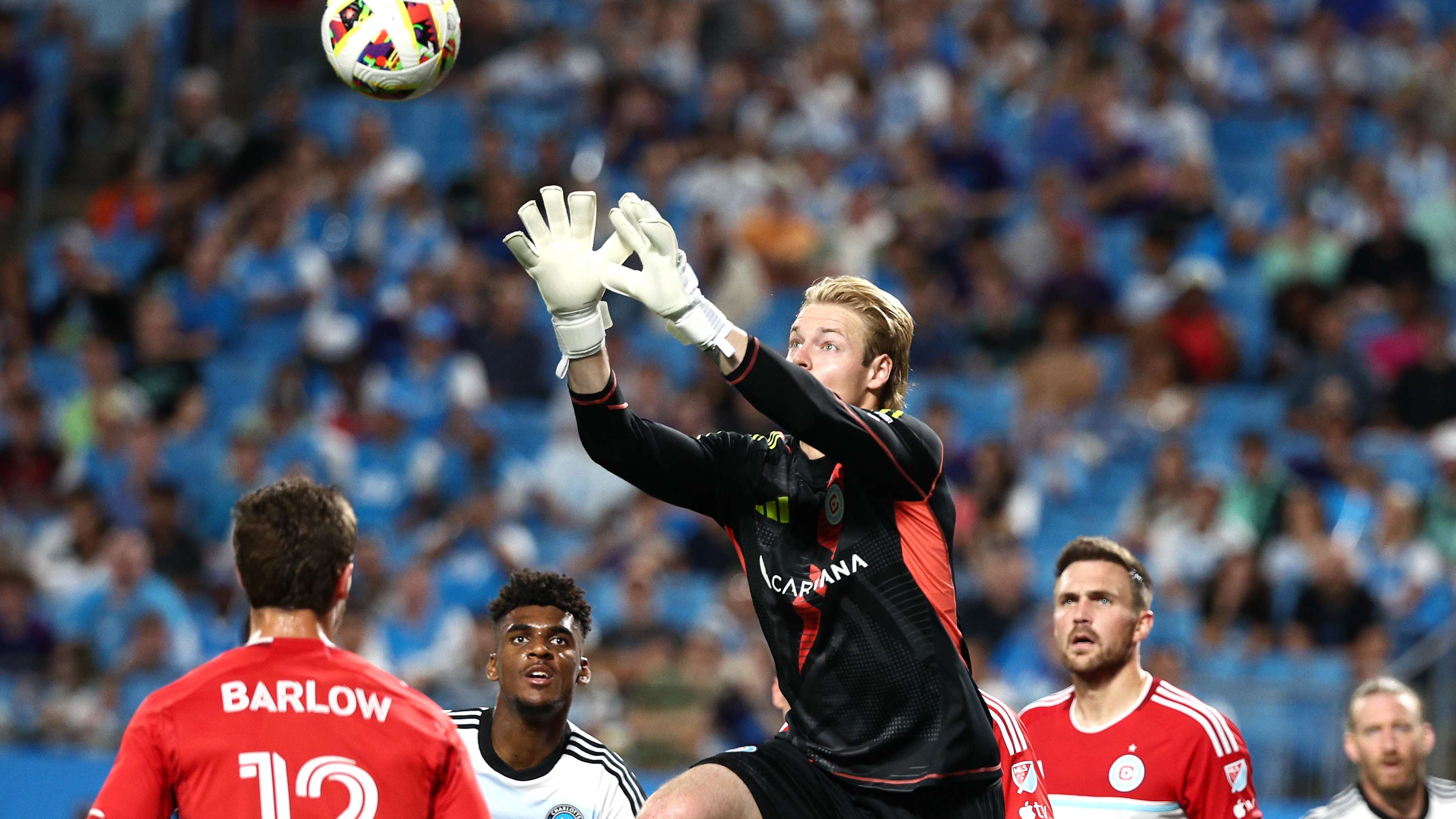 的青训营 的青训营