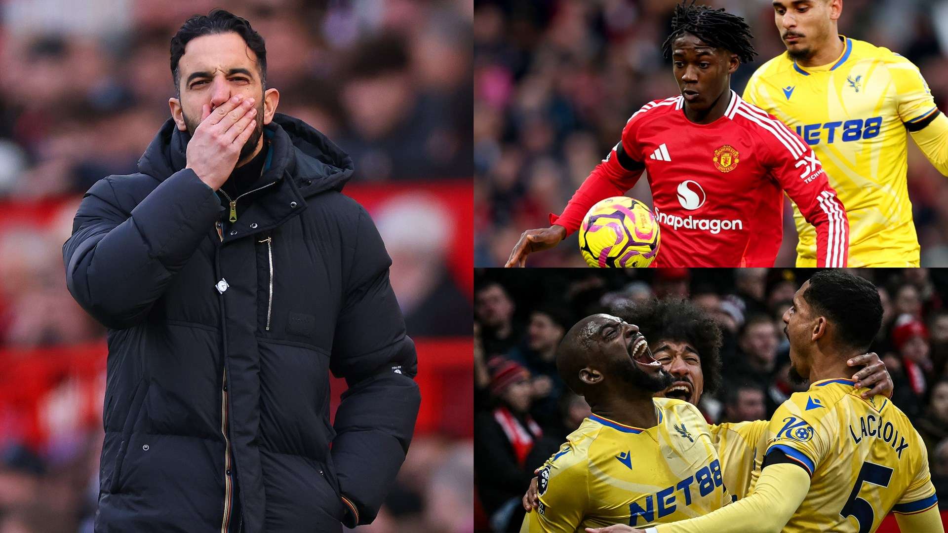 追求他们的 追求他们的