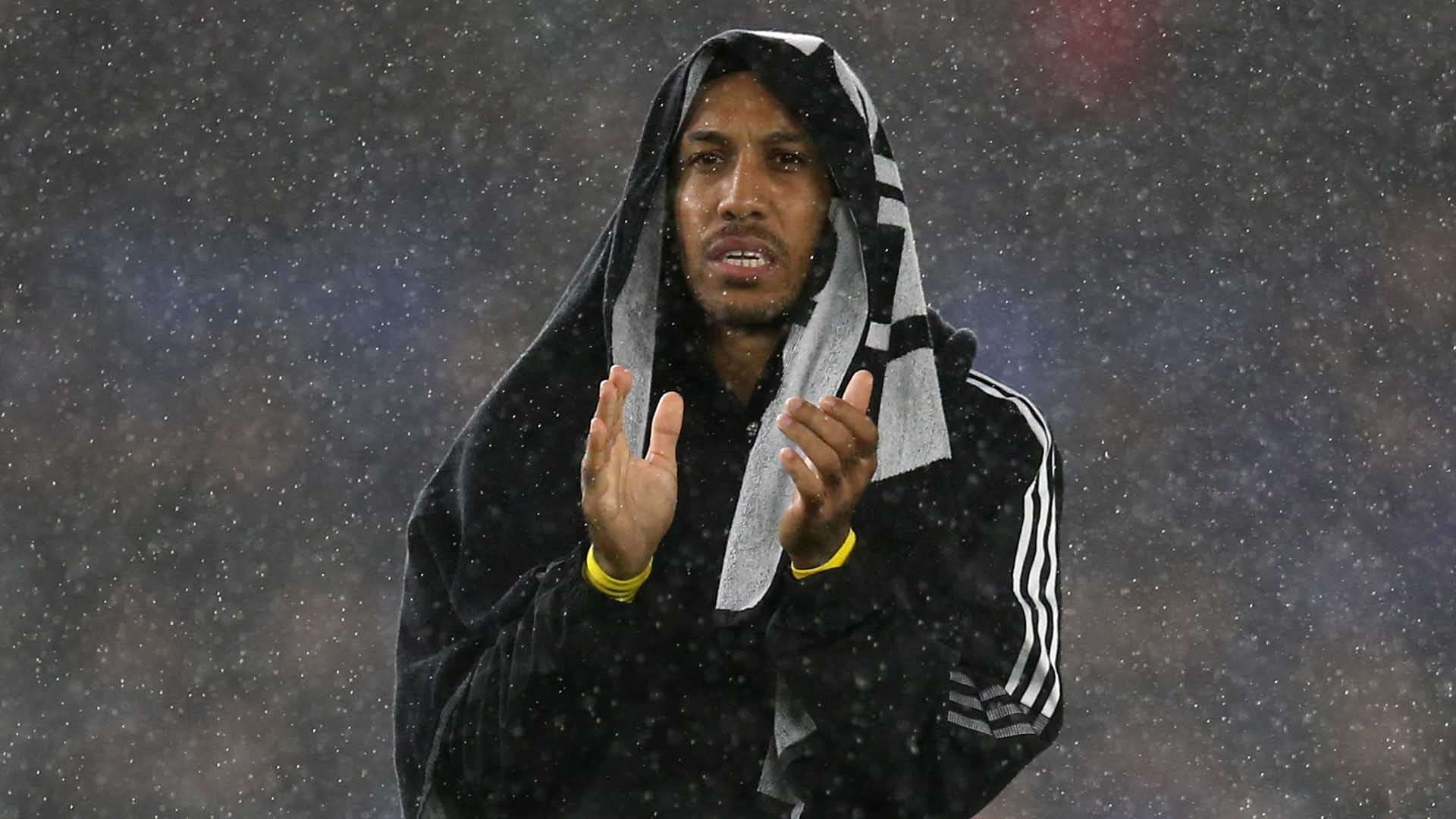 金条款的合 金条款的合