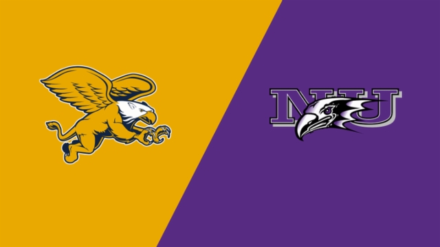 他的进球源 他的进球源