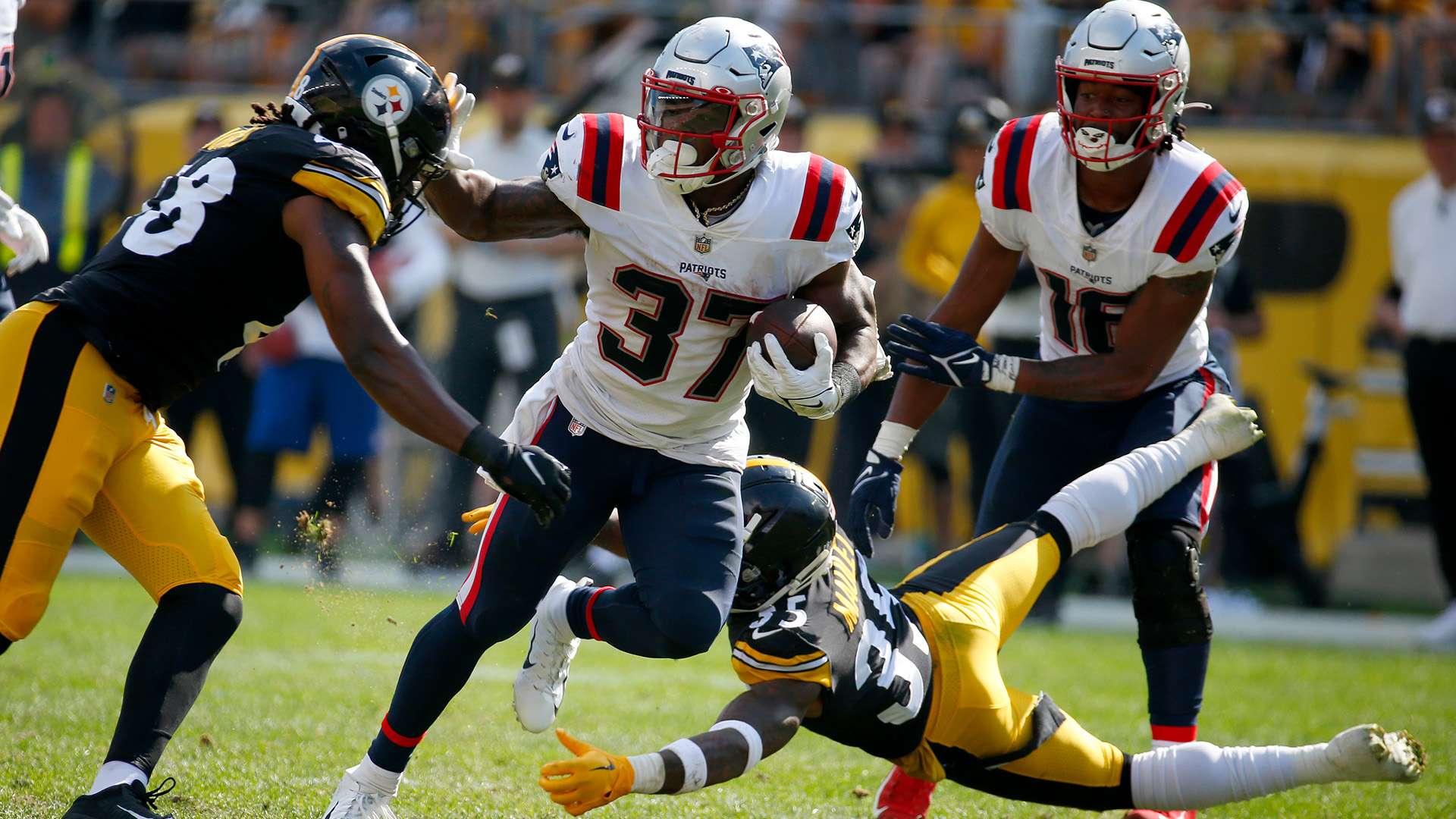 迷带来更多 迷带来更多