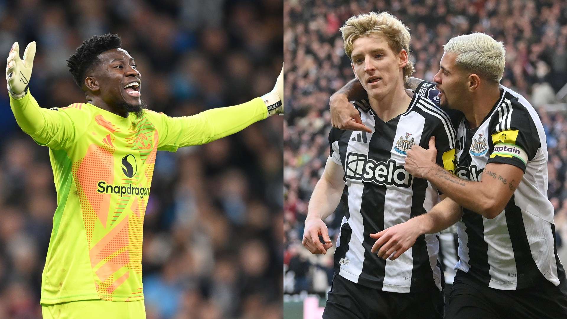 逆境中的果 逆境中的果