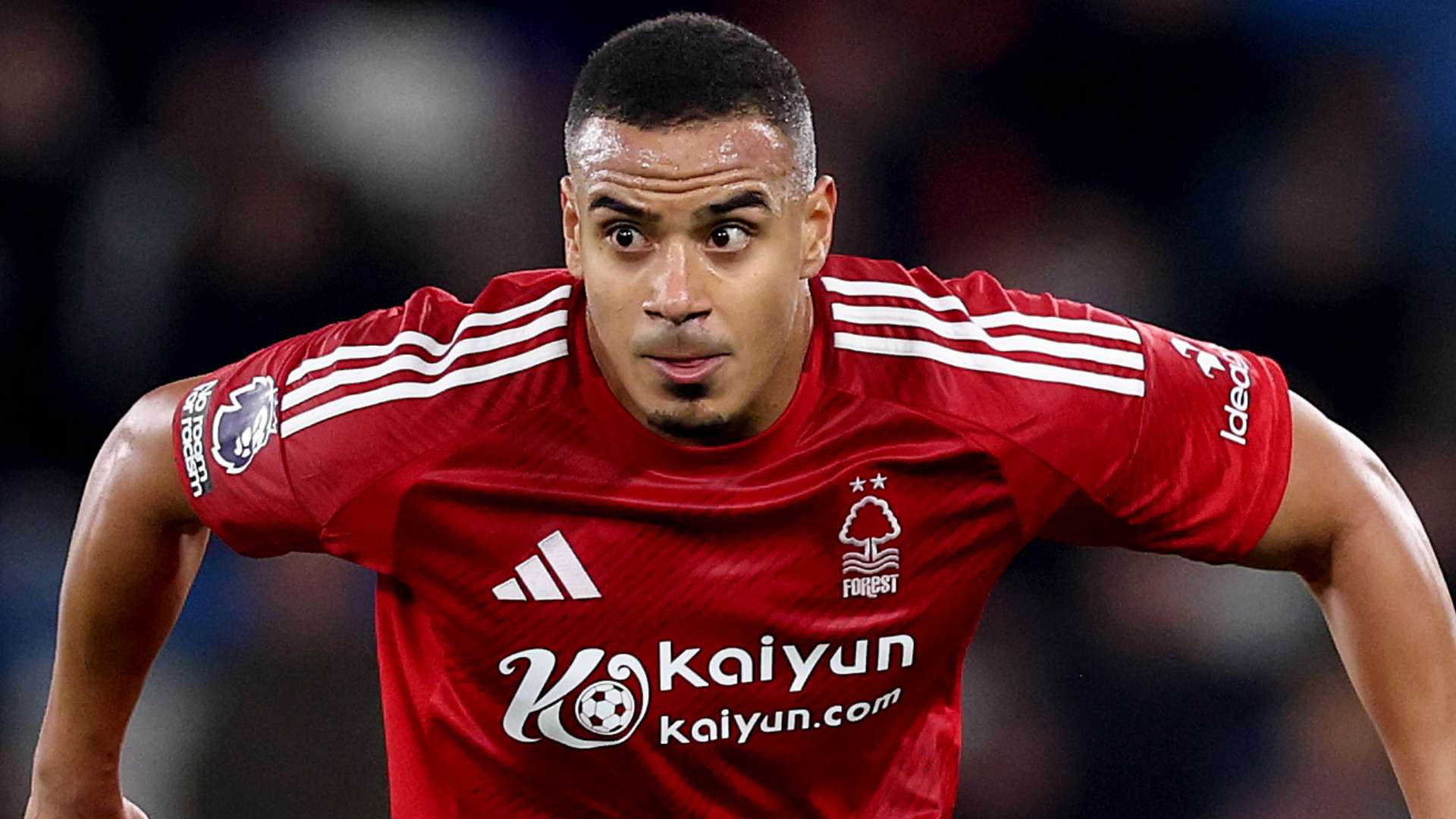 小組競爭白 小組競爭白